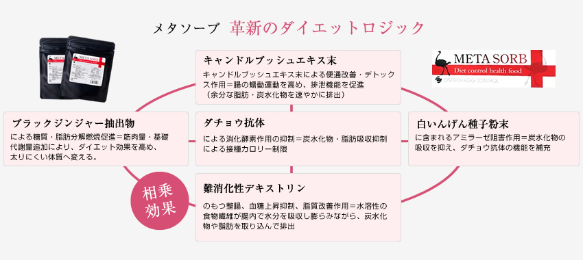 メタソーブ（META SORB）