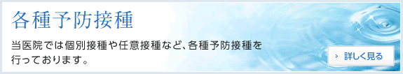 各種予防接種　当院では個別接種や任意接種など、各種予防接種を行っております。