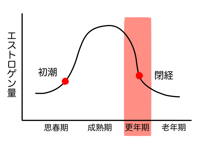 女性と骨粗しょう症の関係